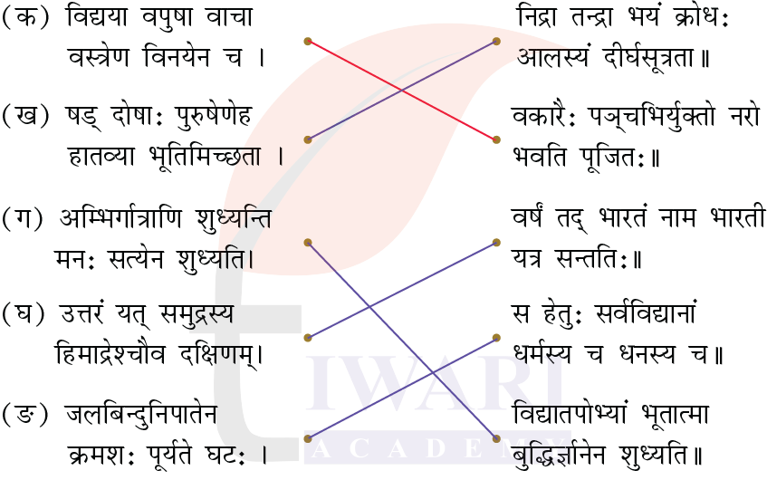 कक्षा 7 संस्कृत दीपकम् अध्याय 2 के प्रश्न 3 के उत्तर का चित्र