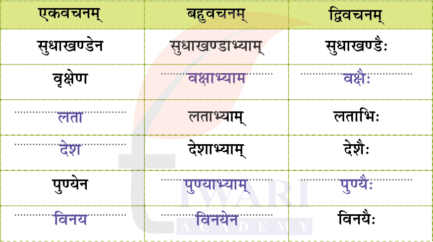कक्षा 7 संस्कृत दीपकम् अध्याय 2 के प्रश्न 6 के उत्तर का चित्र