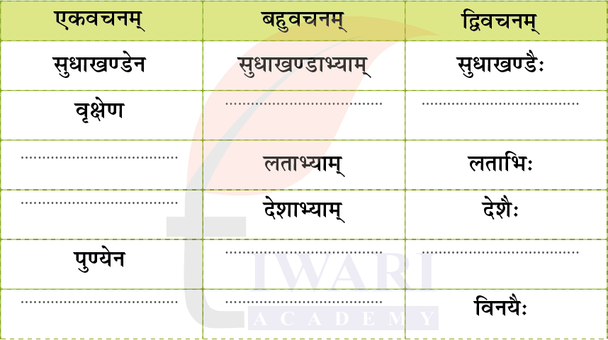 कक्षा 7 संस्कृत दीपकम् अध्याय 2 के प्रश्न 6 का चित्र