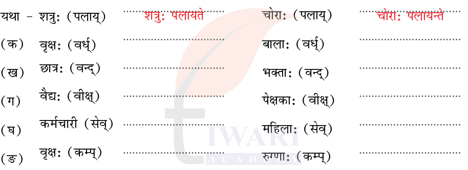 कक्षा 7 संस्कृत दीपकम् अध्याय 4 के प्रश्न 6 का चित्र