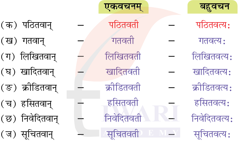 कक्षा 7 संस्कृत दीपकम् अध्याय 5 के प्रश्न 3 के उत्तर का चित्र