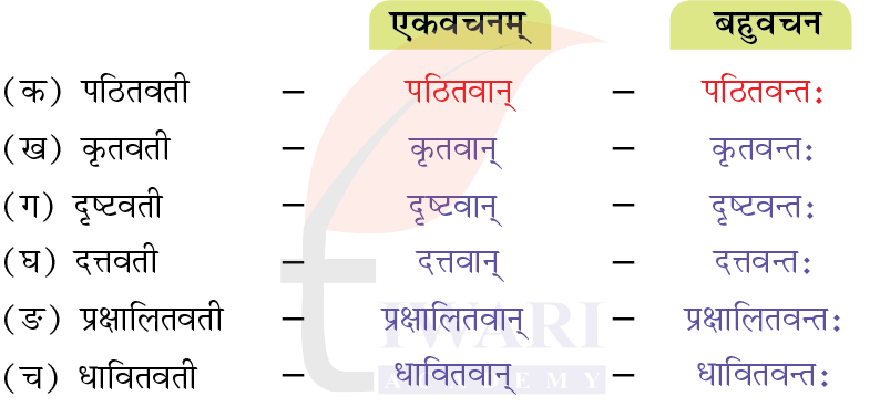 कक्षा 7 संस्कृत दीपकम् अध्याय 5 के प्रश्न 4 के उत्तर का चित्र