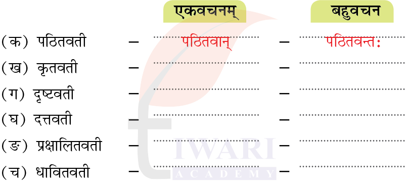 कक्षा 7 संस्कृत दीपकम् अध्याय 5 के प्रश्न 4 का चित्र