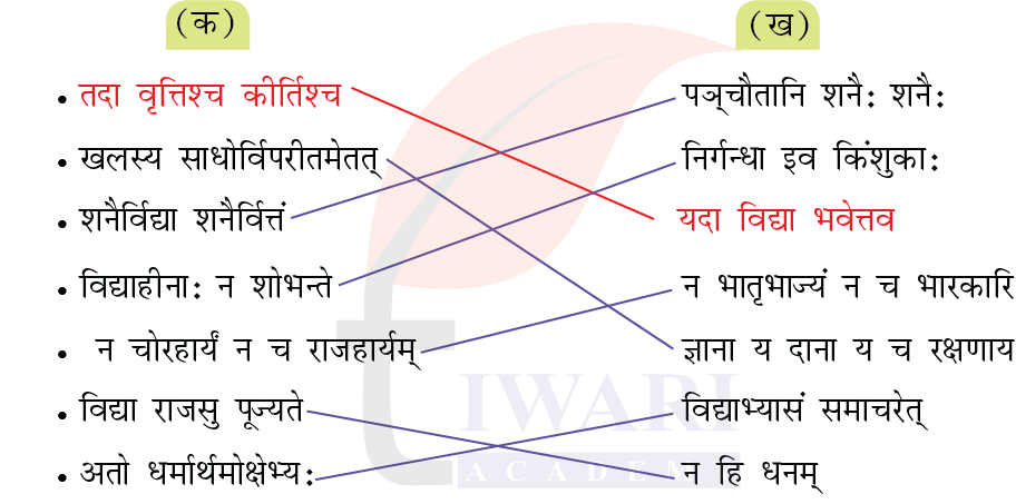 कक्षा 7 संस्कृत दीपकम् अध्याय 6 के प्रश्न 3 के उत्तर का चित्र