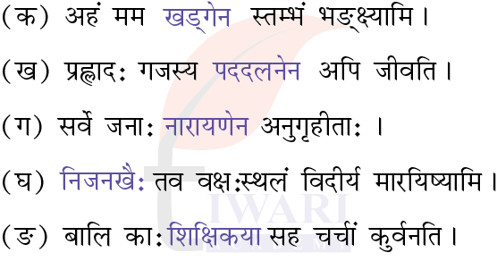 कक्षा 7 संस्कृत दीपकम् अध्याय 7 के प्रश्न 5 के उत्तर का चित्र