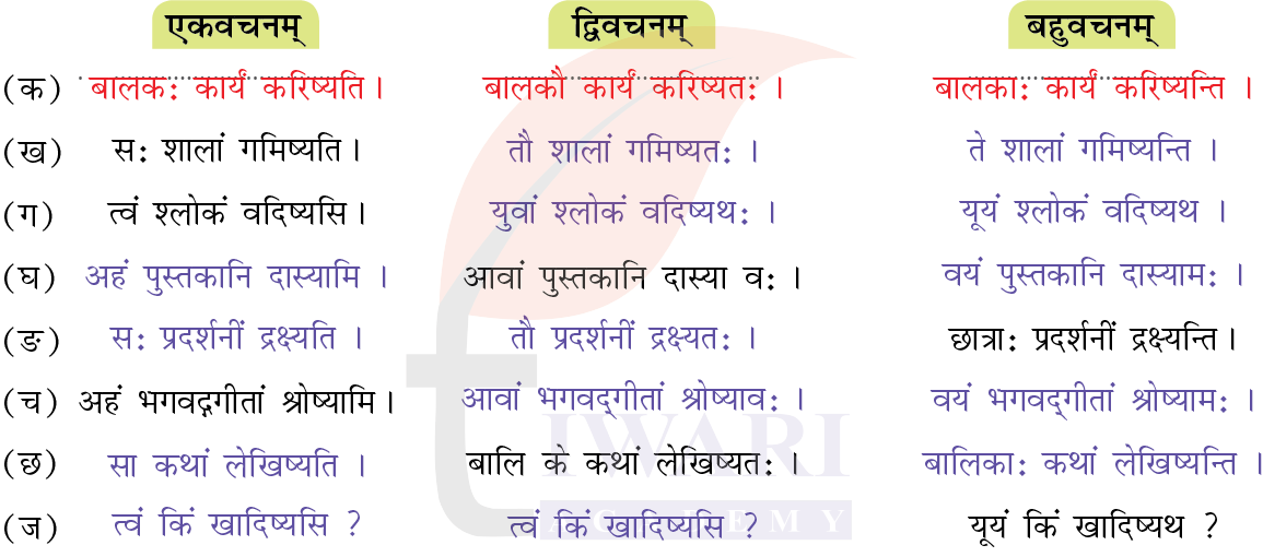 कक्षा 7 संस्कृत दीपकम् अध्याय 7 के प्रश्न 8 के उत्तर का चित्र