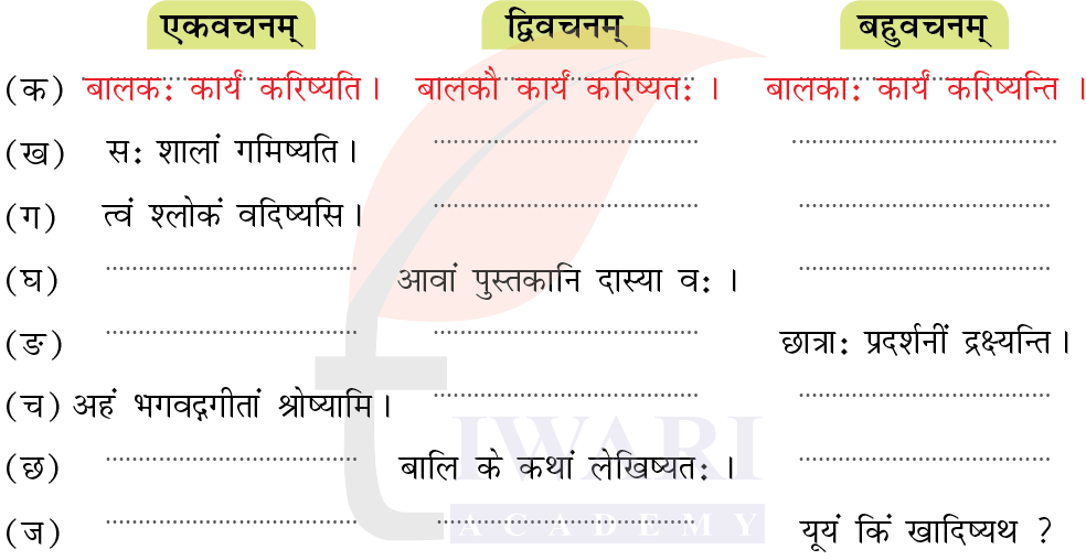 कक्षा 7 संस्कृत दीपकम् अध्याय 7 के प्रश्न 8 का चित्र
