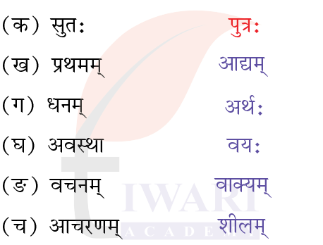 कक्षा 7 संस्कृत दीपकम् अध्याय 8 के प्रश्न 6 के उत्तर का चित्र