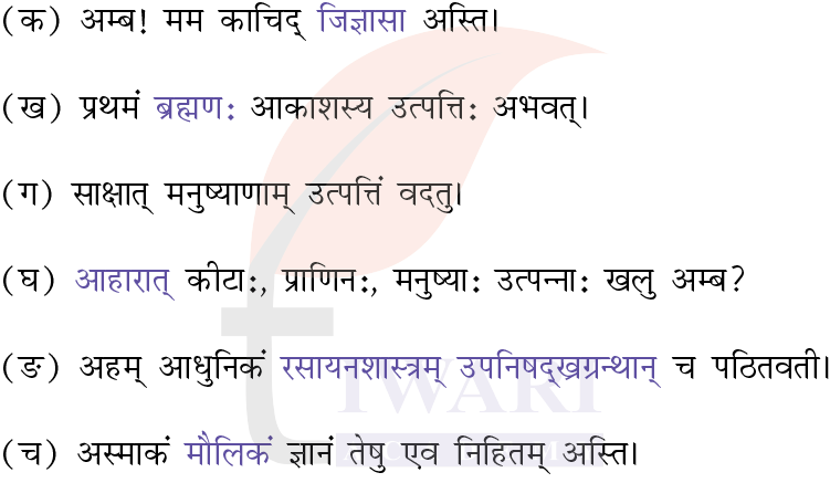 कक्षा 7 संस्कृत दीपकम् अध्याय 9 के प्रश्न 2 के उत्तर का चित्र