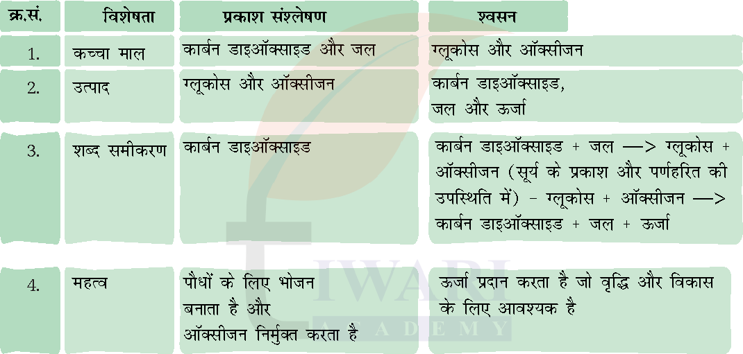 कक्षा 7 विज्ञान जिज्ञासा अध्याय 10 के प्रश्न 1 के उत्तर का चित्र