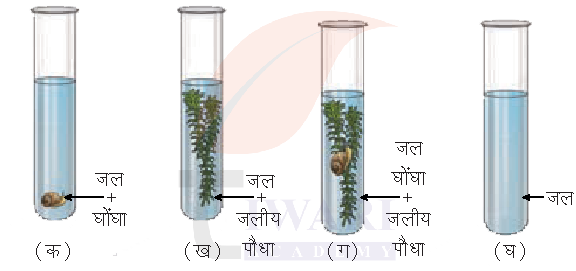 कक्षा 7 विज्ञान जिज्ञासा अध्याय 10 के प्रश्न 8 का चित्र