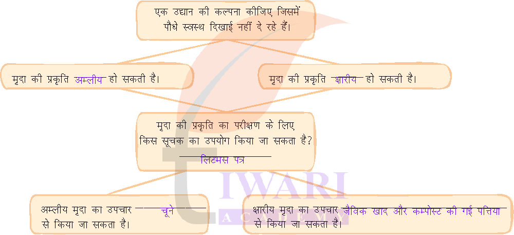 कक्षा 7 विज्ञान जिज्ञासा अध्याय 2 के प्रश्न 12 के उत्तर का चित्र