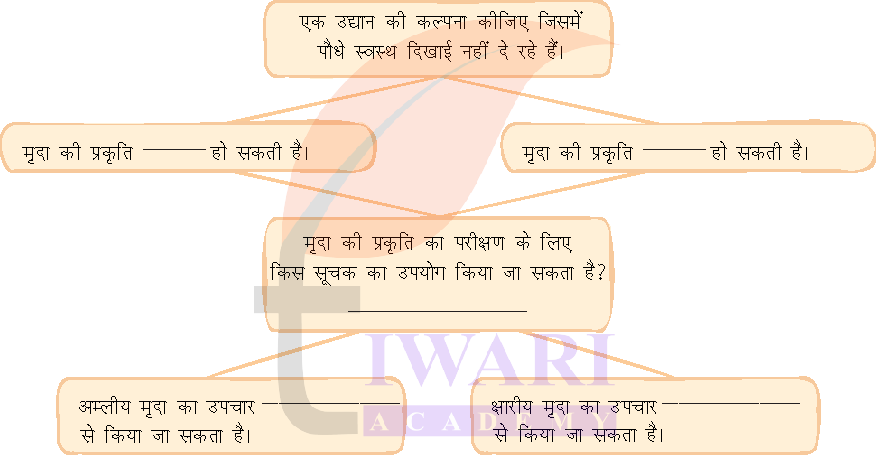 कक्षा 7 विज्ञान जिज्ञासा अध्याय 2 के प्रश्न 12 का चित्र