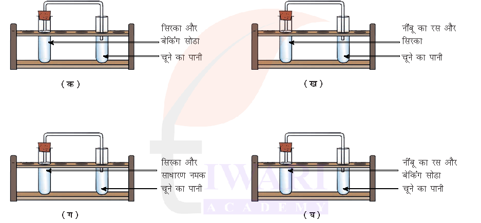 कक्षा 7 विज्ञान जिज्ञासा अध्याय 5 के प्रश्न 10 का चित्र