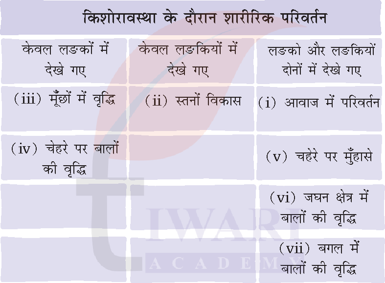 कक्षा 7 विज्ञान जिज्ञासा अध्याय 6 के प्रश्न 2 के उत्तर का चित्र