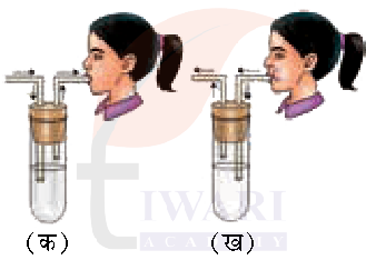 कक्षा 7 विज्ञान जिज्ञासा के अध्याय 9 के प्रश्न 10 का चित्र