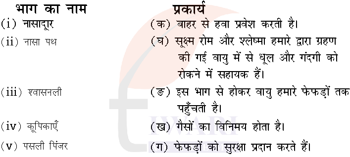 कक्षा 7 विज्ञान जिज्ञासा के अध्याय 9 के प्रश्न 4 के उत्तर का चित्र