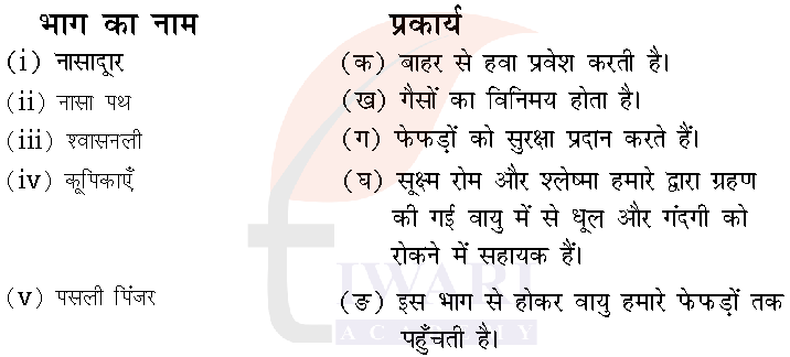 कक्षा 7 विज्ञान जिज्ञासा के अध्याय 9 के प्रश्न 4 का चित्र