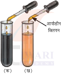 कक्षा 7 विज्ञान जिज्ञासा के अध्याय 9 के प्रश्न 9 का चित्र