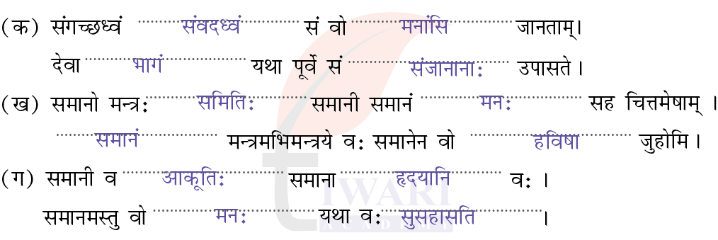 कक्षा 8 संस्कृत दीपकम् अध्याय 1 के प्रश्न 3 के उत्तर का चित्र