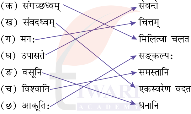 कक्षा 8 संस्कृत दीपकम् अध्याय 1 के प्रश्न 5 के उत्तर का चित्र