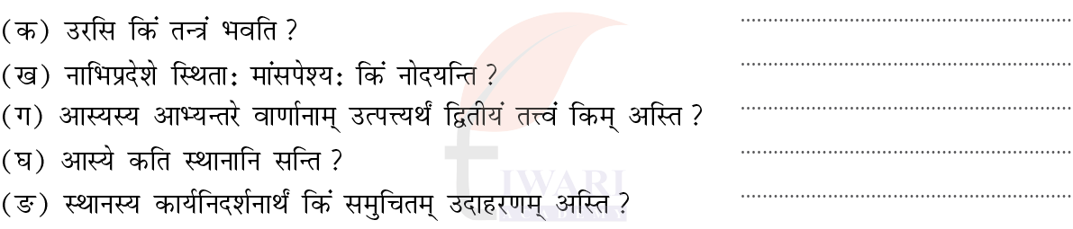 कक्षा 8 संस्कृत दीपकम् अध्याय 13 के प्रश्न 1 का चित्र