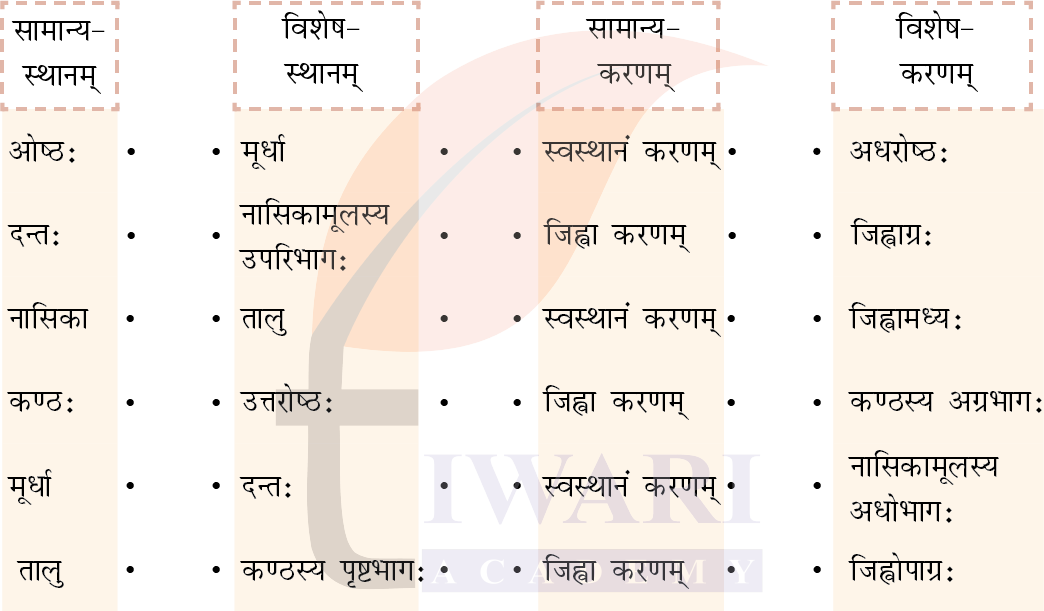 कक्षा 8 संस्कृत दीपकम् अध्याय 13 के प्रश्न 5 का चित्र
