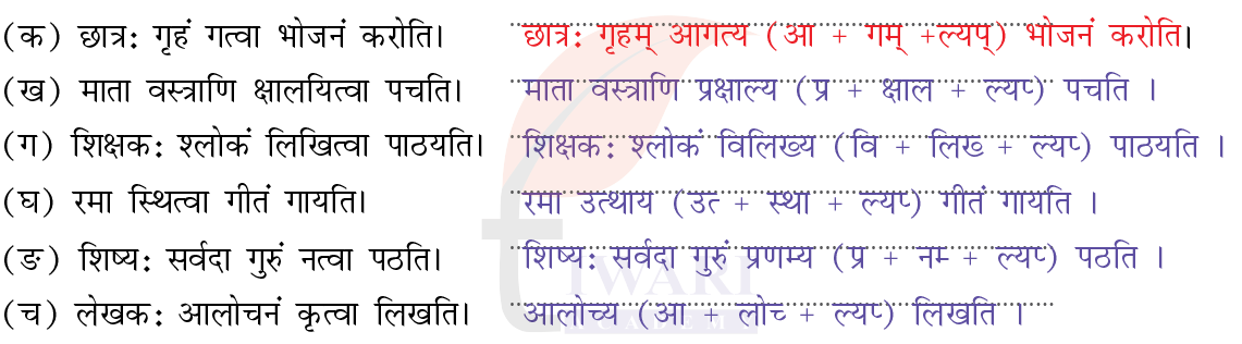 कक्षा 8 संस्कृत दीपकम् अध्याय 2 के प्रश्न 4 के उत्तर का चित्र