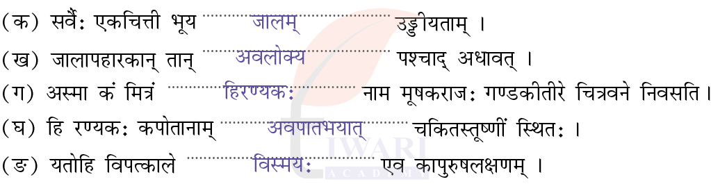 कक्षा 8 संस्कृत दीपकम् अध्याय 2 के प्रश्न 5 के उत्तर का चित्र