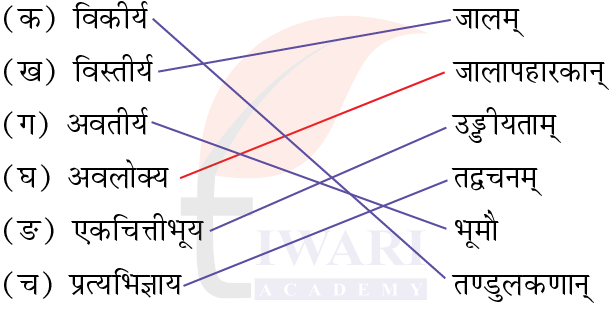 कक्षा 8 संस्कृत दीपकम् अध्याय 2 के प्रश्न 6 के उत्तर का चित्र