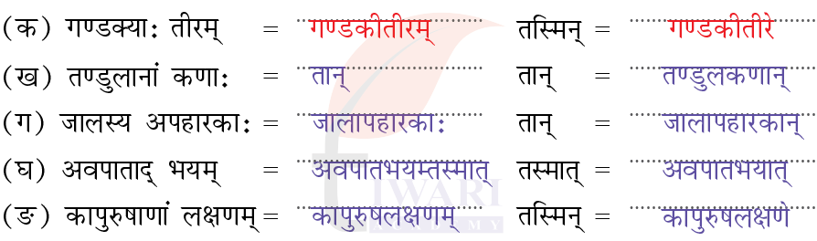 कक्षा 8 संस्कृत दीपकम् अध्याय 2 के प्रश्न 7 के उत्तर का चित्र