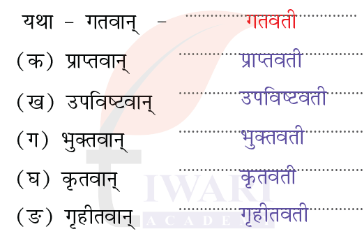 कक्षा 8 संस्कृत दीपकम् अध्याय 4 के प्रश्न 6 के उत्तर का चित्र