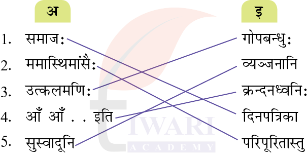 कक्षा 8 संस्कृत दीपकम् अध्याय 4 के प्रश्न 7 के उत्तर का चित्र