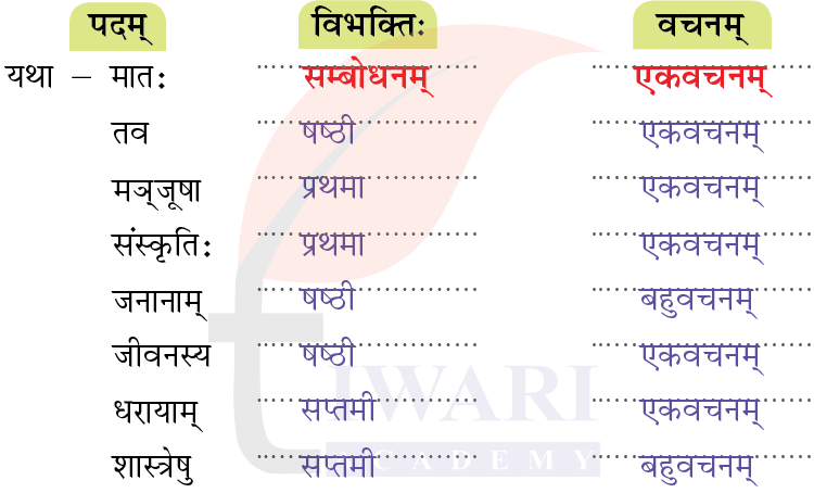 कक्षा 8 संस्कृत दीपकम् अध्याय 7 के प्रश्न 4 के उत्तर का चित्र