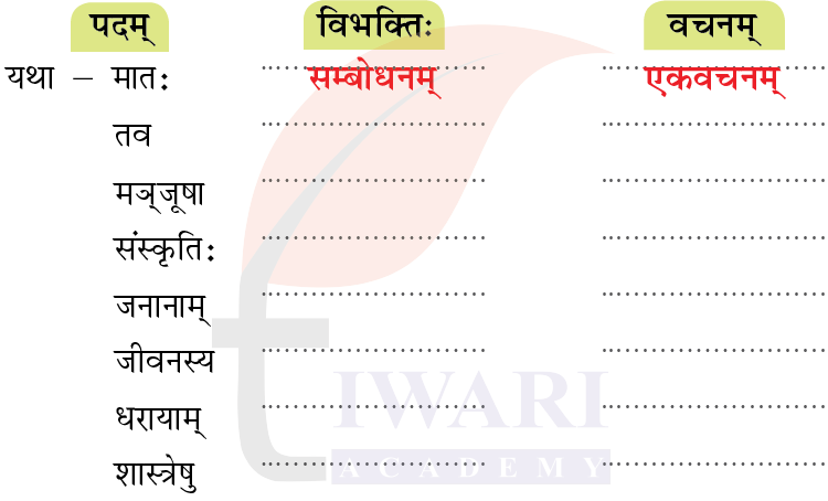 कक्षा 8 संस्कृत दीपकम् अध्याय 7 के प्रश्न 4 का चित्र
