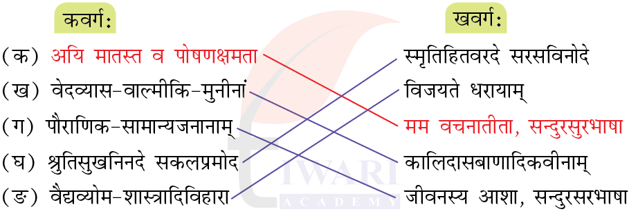 कक्षा 8 संस्कृत दीपकम् अध्याय 7 के प्रश्न 5 के उत्तर का चित्र