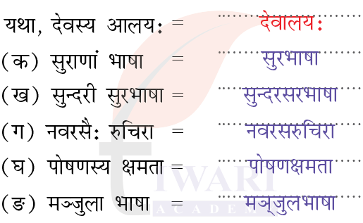 कक्षा 8 संस्कृत दीपकम् अध्याय 7 के प्रश्न 6 के उत्तर का चित्र