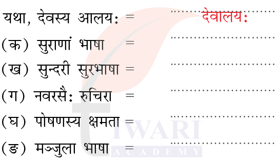 कक्षा 8 संस्कृत दीपकम् अध्याय 7 के प्रश्न 6 का चित्र