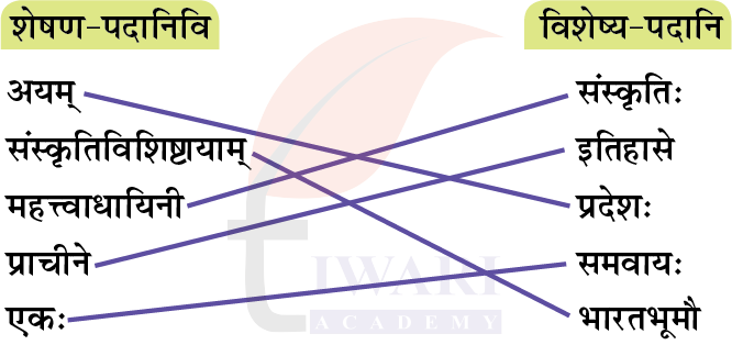 कक्षा 8 संस्कृत दीपकम् अध्याय 8 के प्रश्न 9 के उत्तर का चित्र