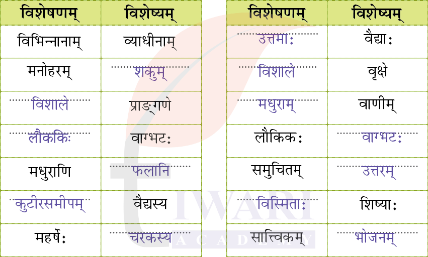 कक्षा 8 संस्कृत दीपकम् के अध्याय 9 के प्रश्न 4 के उत्तर का चित्र