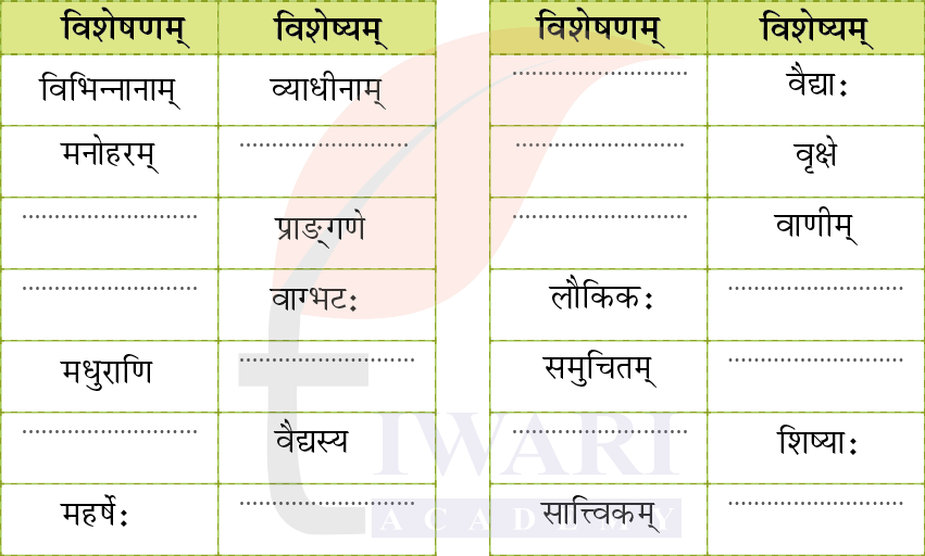 कक्षा 8 संस्कृत दीपकम् के अध्याय 9 के प्रश्न 4 का चित्र