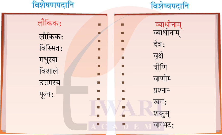 कक्षा 8 संस्कृत दीपकम् के अध्याय 9 के प्रश्न 5 के उत्तर का चित्र