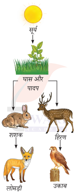 कक्षा 8 विज्ञान जिज्ञासा अध्याय 12 के प्रश्न 9 का चित्र