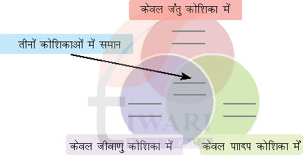 कक्षा 8 विज्ञान जिज्ञासा का अध्याय 2 प्रश्न 1