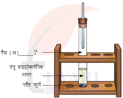 कक्षा 8 विज्ञान जिज्ञासा अध्याय 8 के प्रश्न 10 का चित्र