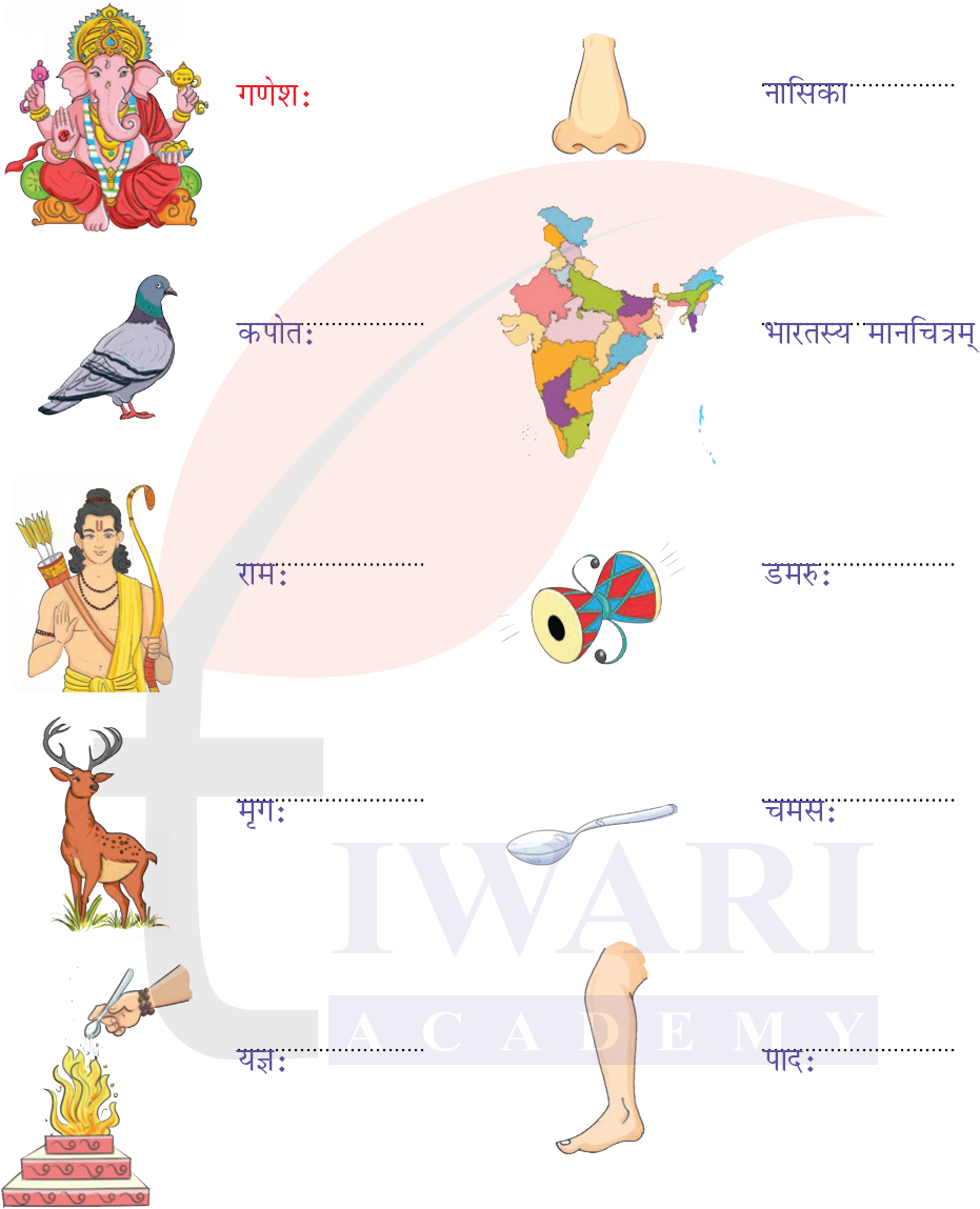 कक्षा 6 संस्कृत दीपकम् अध्याय 1 के प्रश्न 1 के उत्तर का चित्र