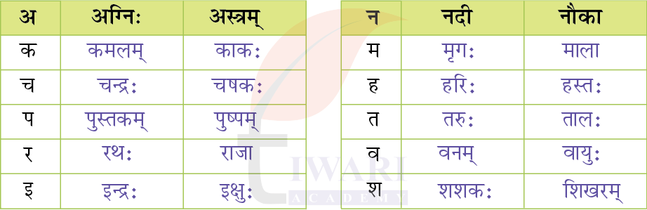 कक्षा 6 संस्कृत दीपकम् अध्याय 1 के प्रश्न 3 के उत्तर का चित्र