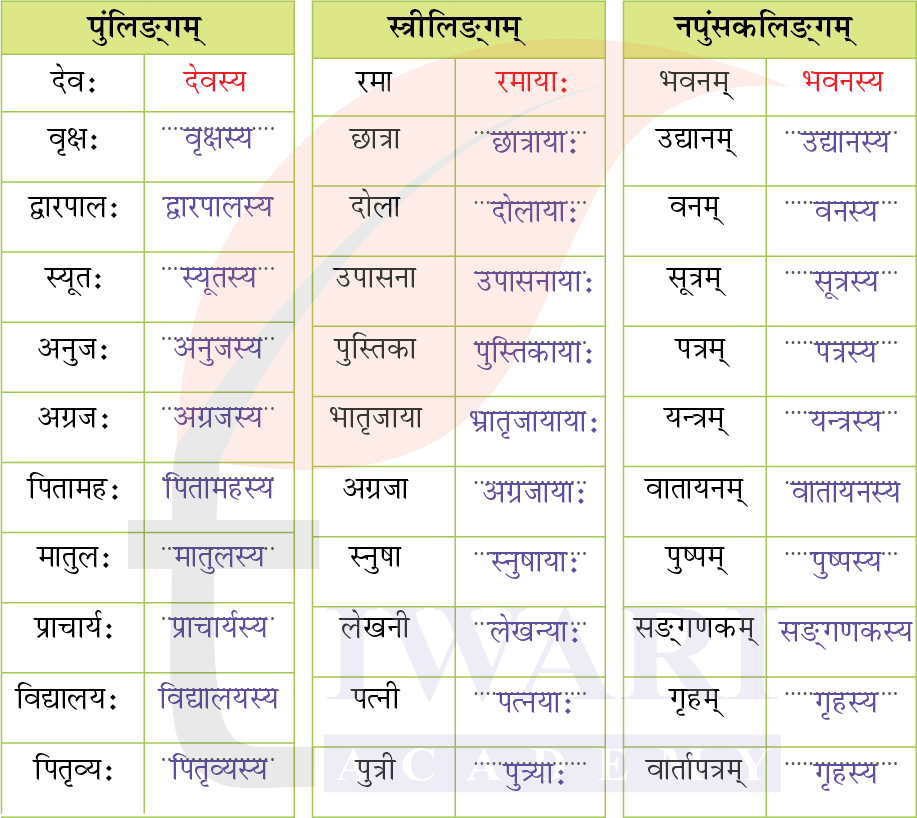 कक्षा 6 संस्कृत दीपकम् अध्याय 11 के प्रश्न 5 के उत्तर का चित्र