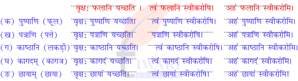 कक्षा 6 की संस्कृत दीपकम् अध्याय 13 के प्रश्न 4 के उत्तर का चित्र