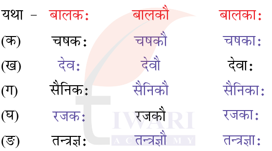 कक्षा 6 संस्कृत दीपकम् अध्याय 3 के प्रश्न 1 के उत्तर का चित्र